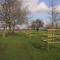 Umweltvorsorge und Eingriffsregelung