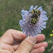 Der Titel wird in der Dateiverwaltung beim Bild direkt eingegeben.