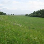 Deich bei Xanthen-Beek