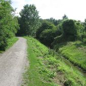 tief eingeschnittenes Bachbett, landwirtschaftlicher Weg