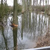 Hochwasser-Rückhaltefläche, Polder Orsoy-Land