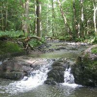 Naturschutzplanung