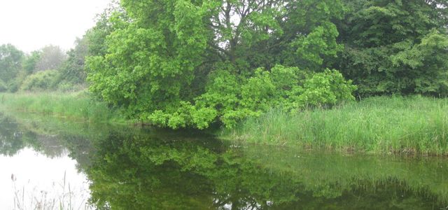 Polder Orsoy-Land bei Rheinerg