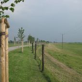 Allee Pottdeckel in Rheinberg Niederwallach